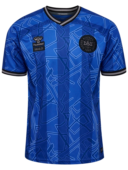 DBU X HALO 24 Gold Keeper Jersey Målmandstrøje Clematis Blue Unisex